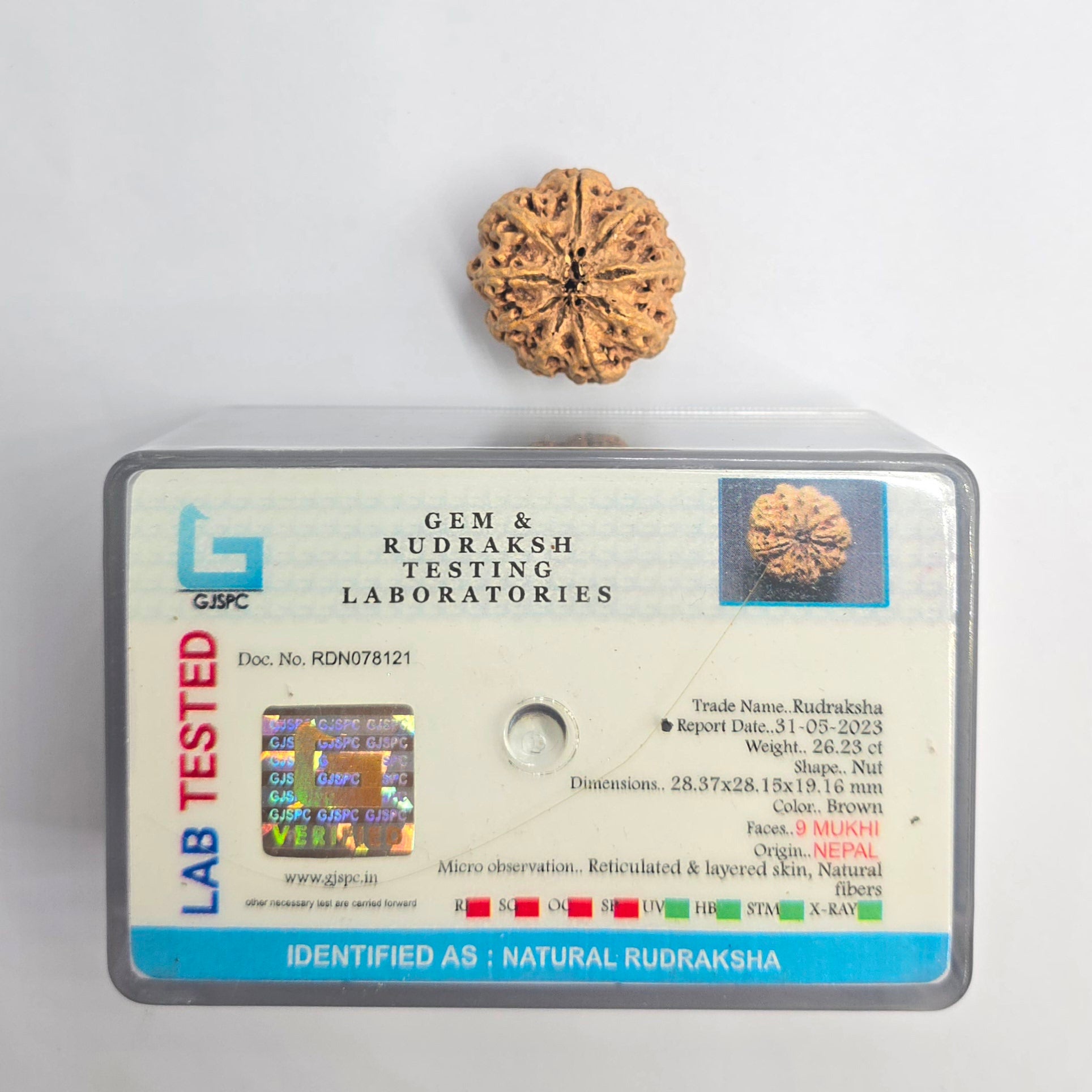 9 Mukhi