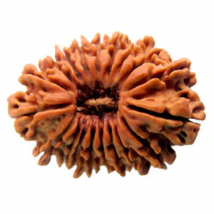 20 Mukhi