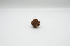 1 Mukhi Rudraksha GOL Dana
