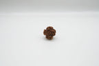 1 Mukhi Rudraksha GOL Dana