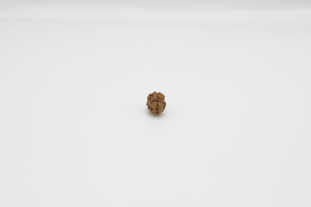 2 Mukhi
