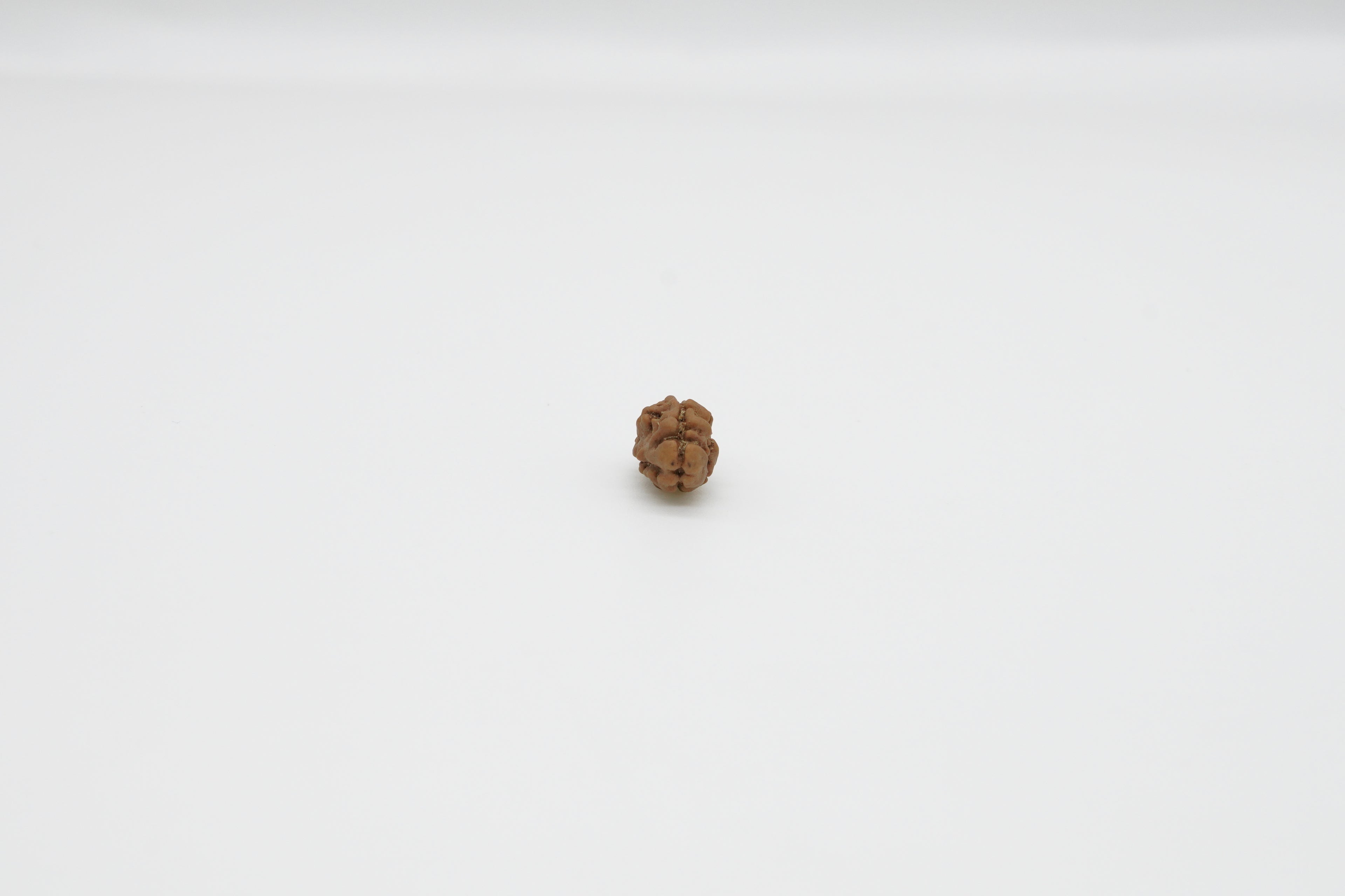 2 Mukhi