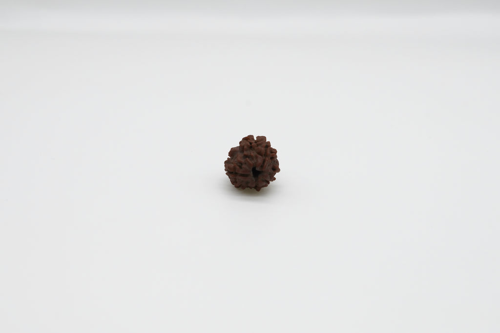 3 Mukhi