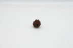 3 Mukhi
