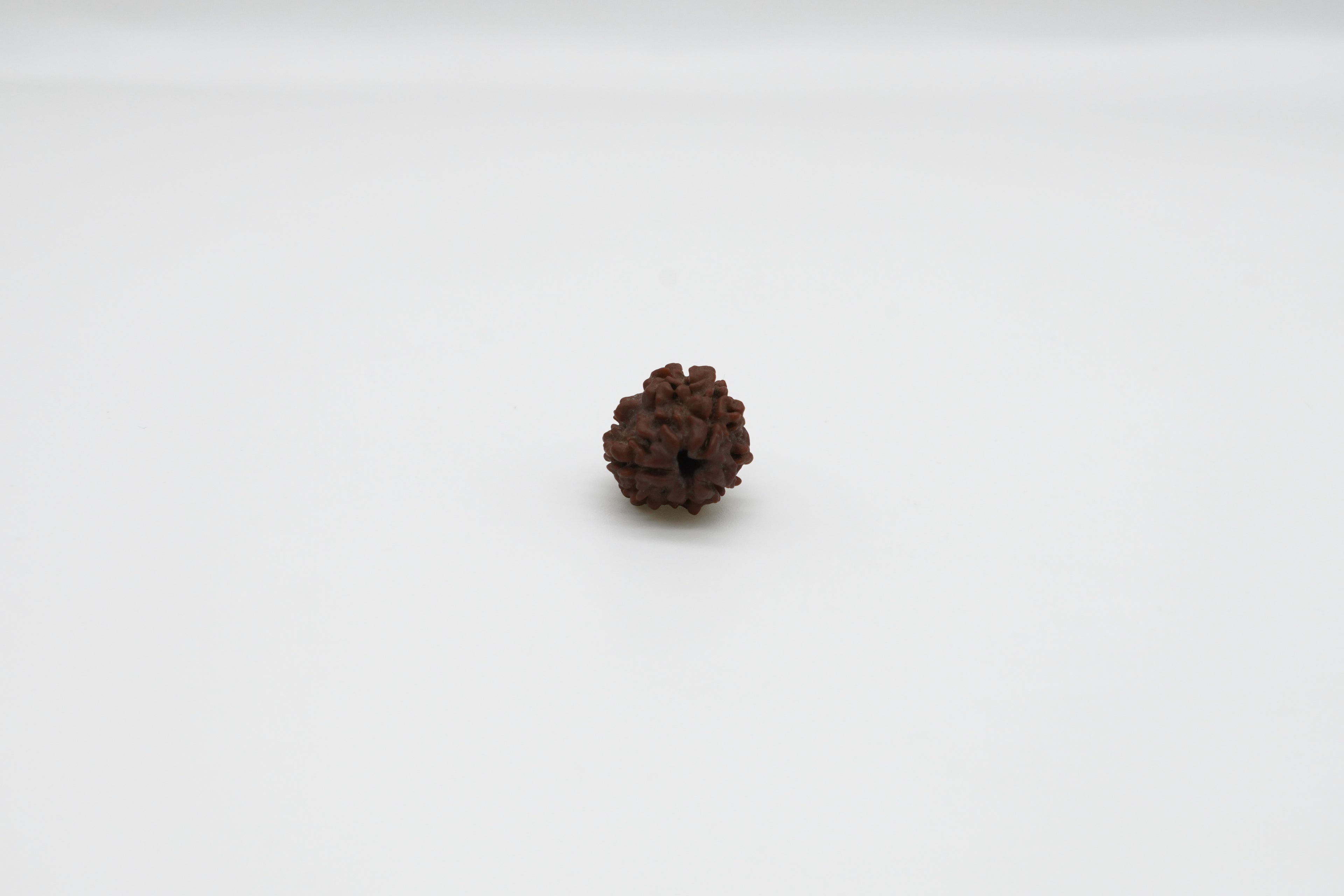 3 Mukhi
