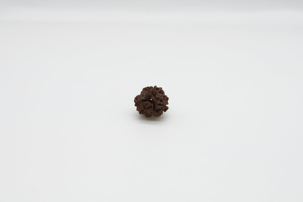 3 Mukhi