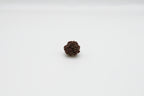3 Mukhi
