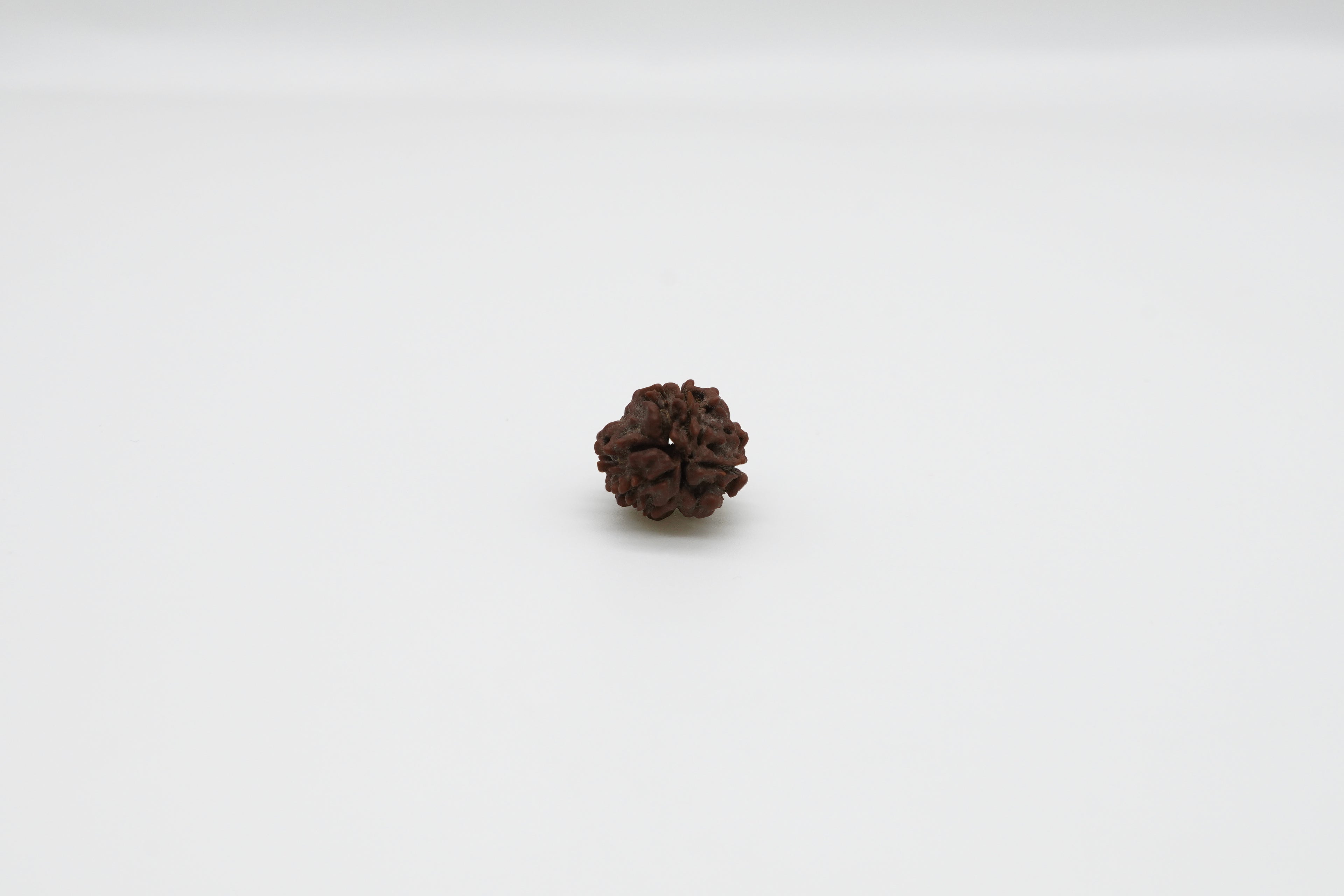 3 Mukhi