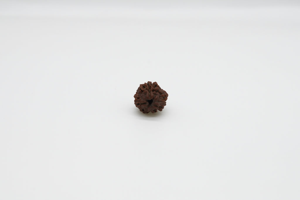 3 Mukhi