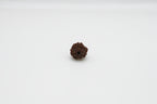 3 Mukhi