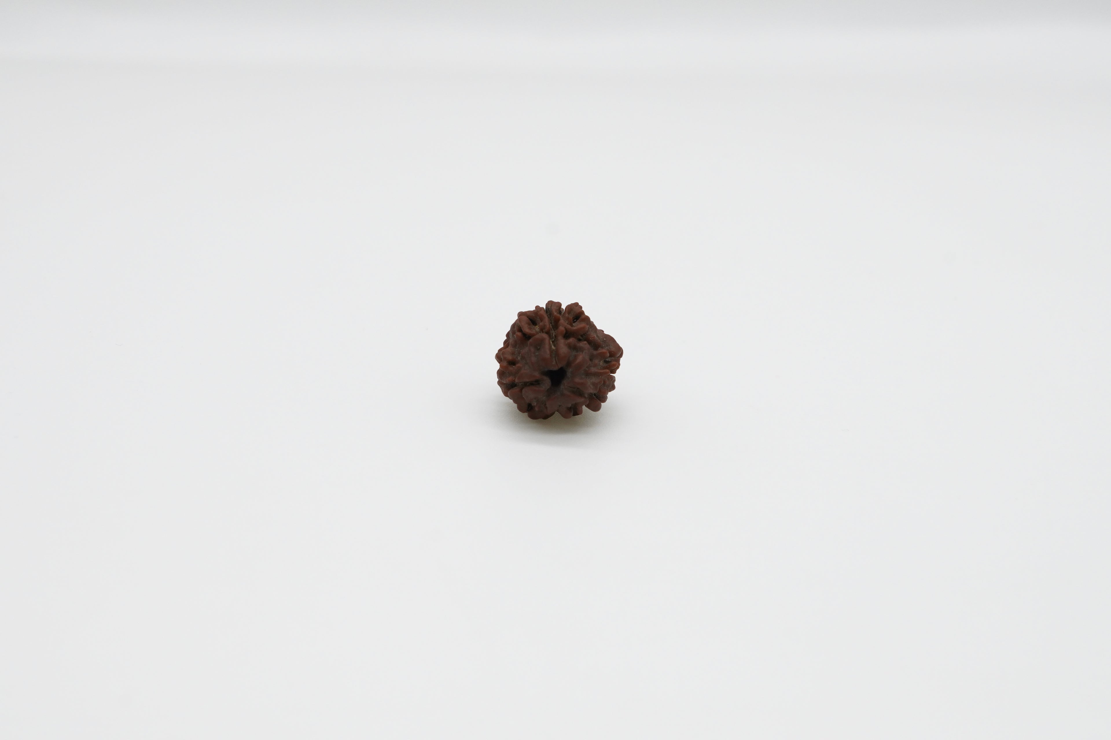 3 Mukhi