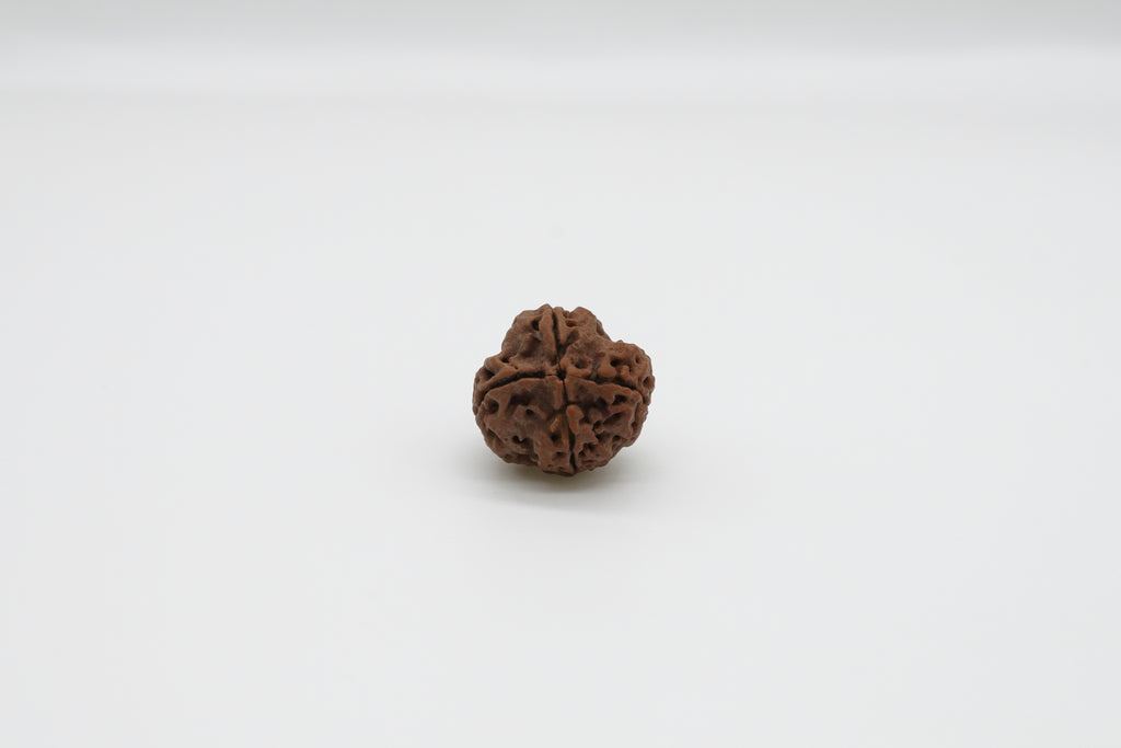 4 Mukhi