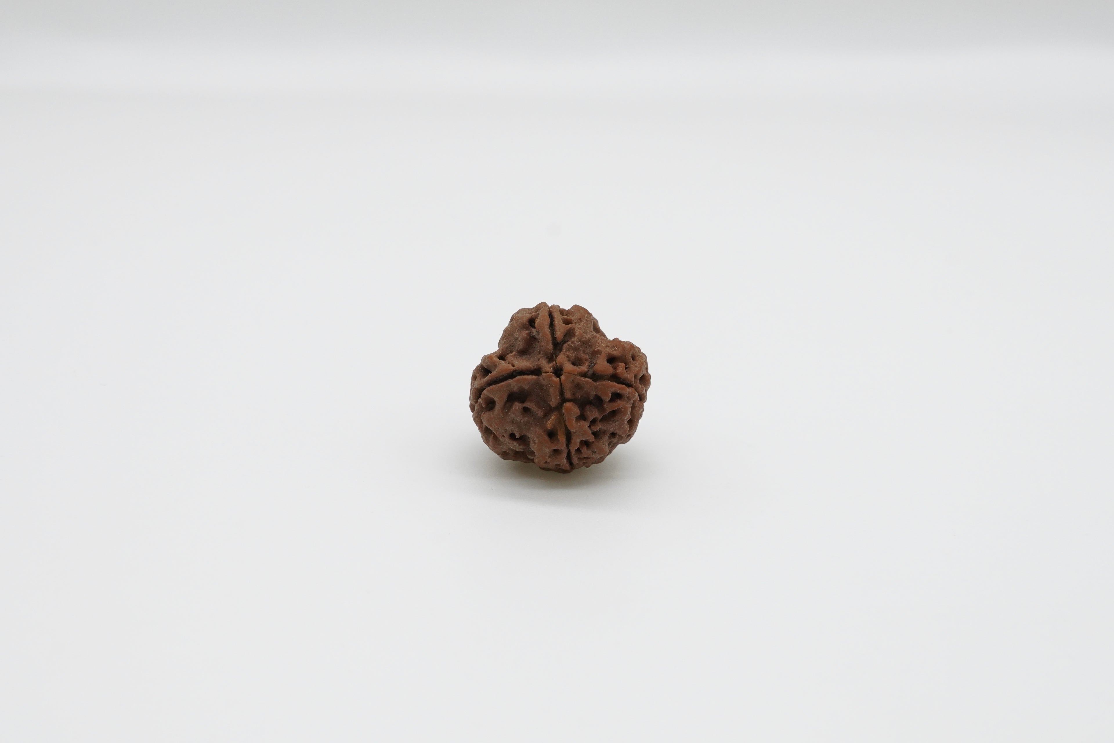 4 Mukhi