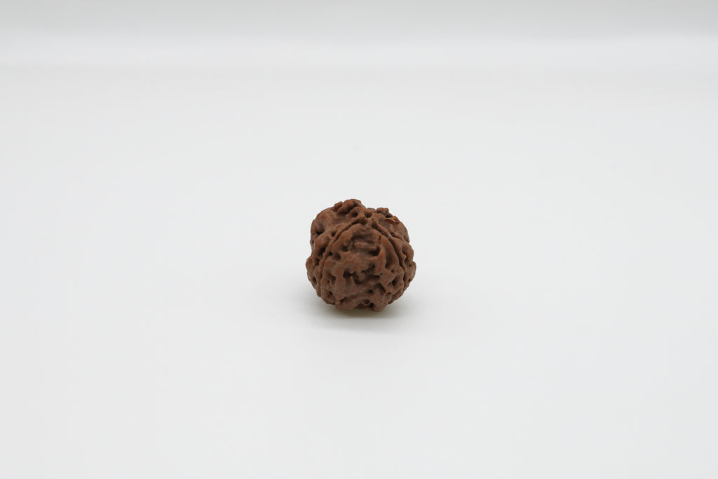 4 Mukhi