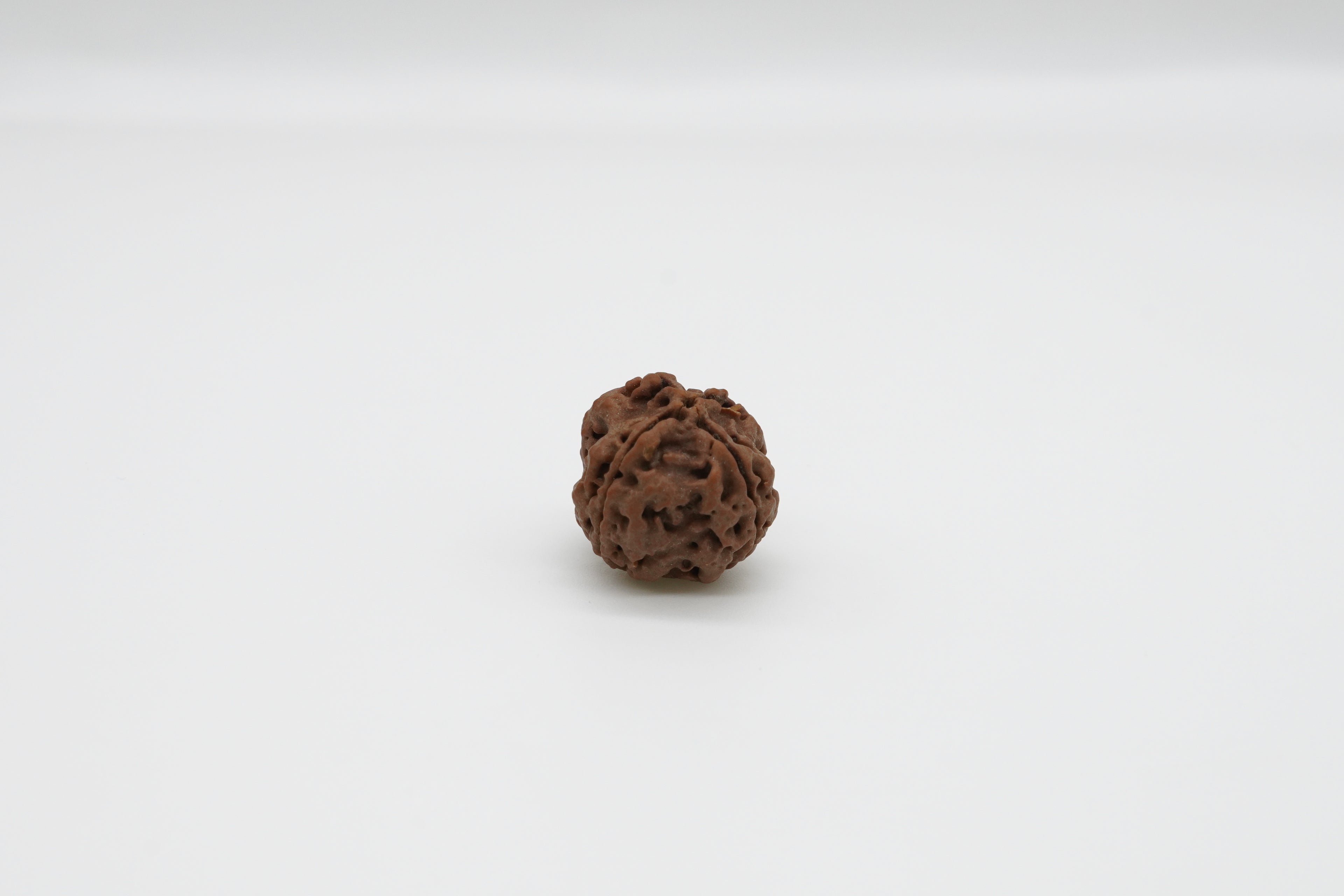 4 Mukhi