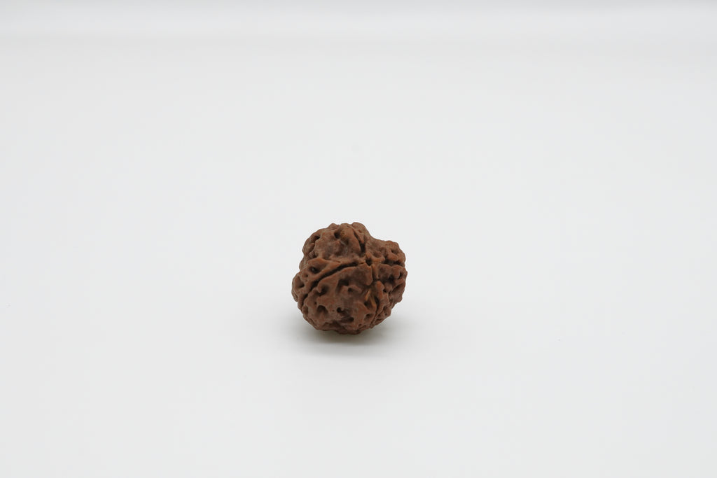 4 Mukhi