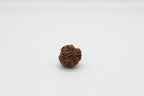 4 Mukhi