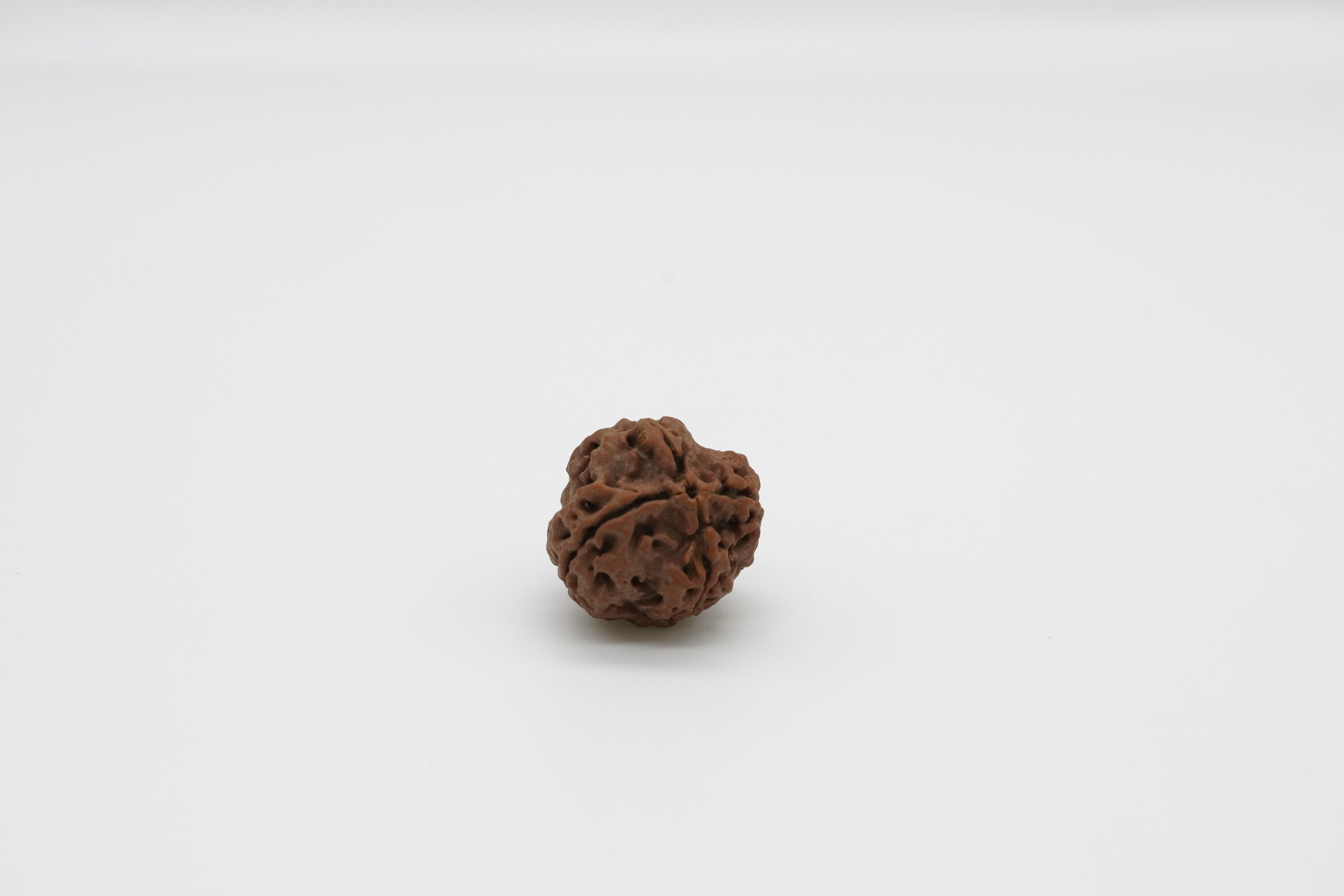 4 Mukhi