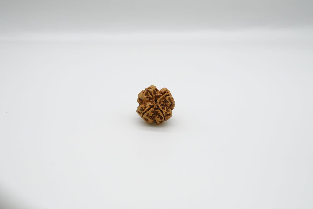 4 Mukhi