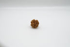 4 Mukhi
