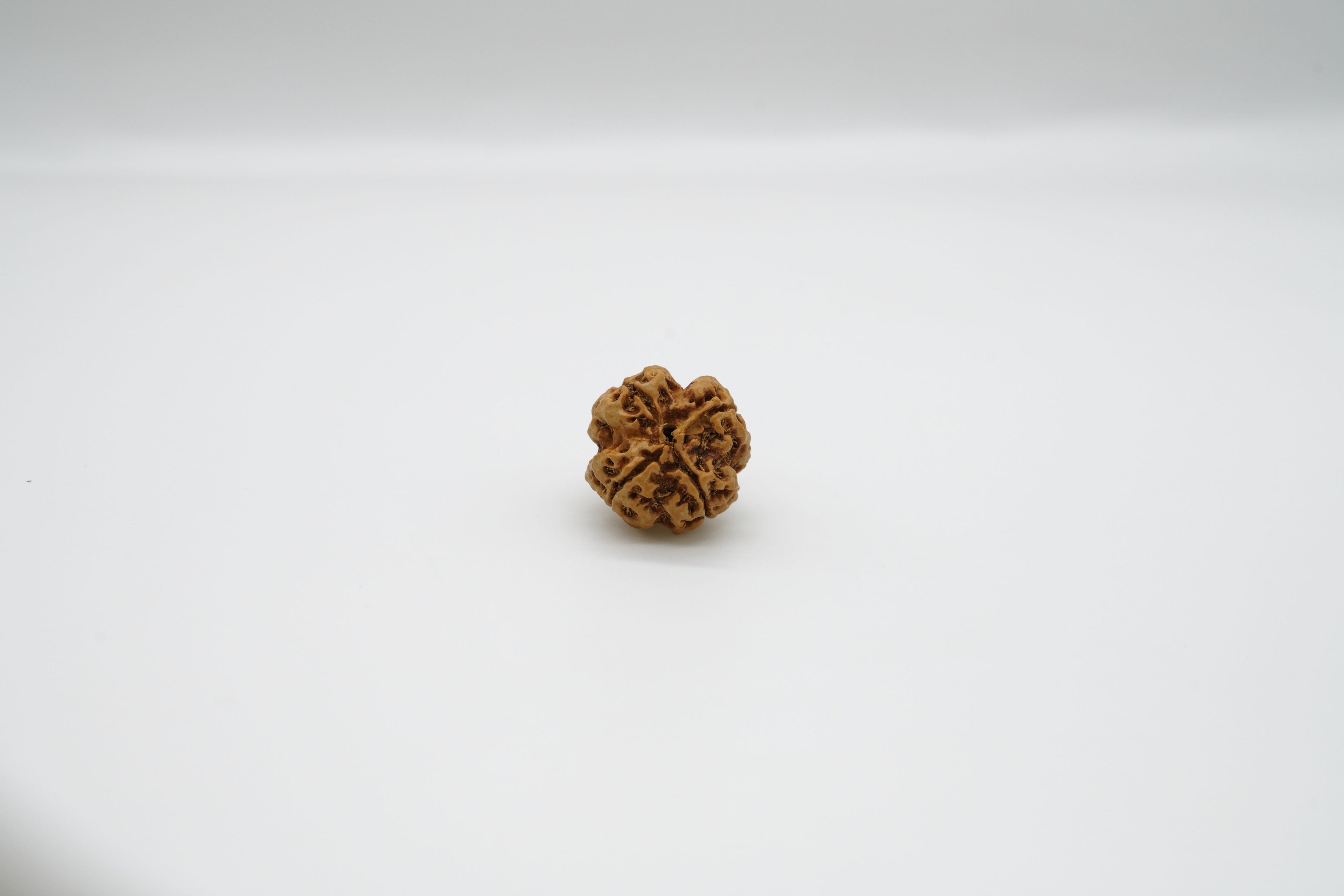 4 Mukhi