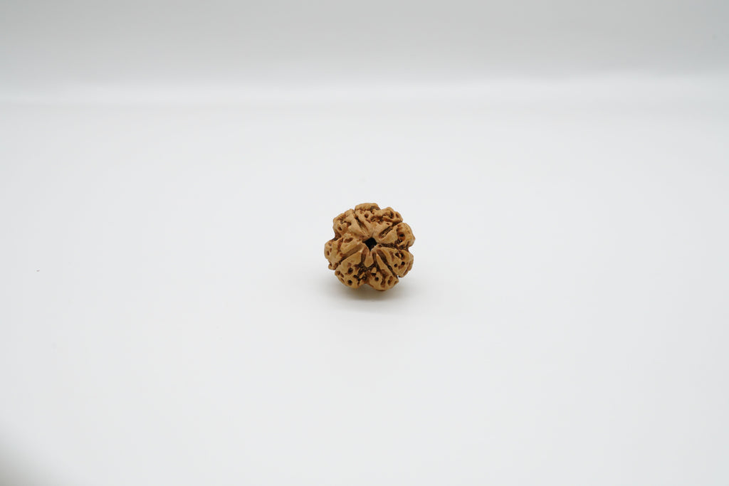 4 Mukhi