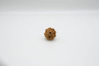 4 Mukhi