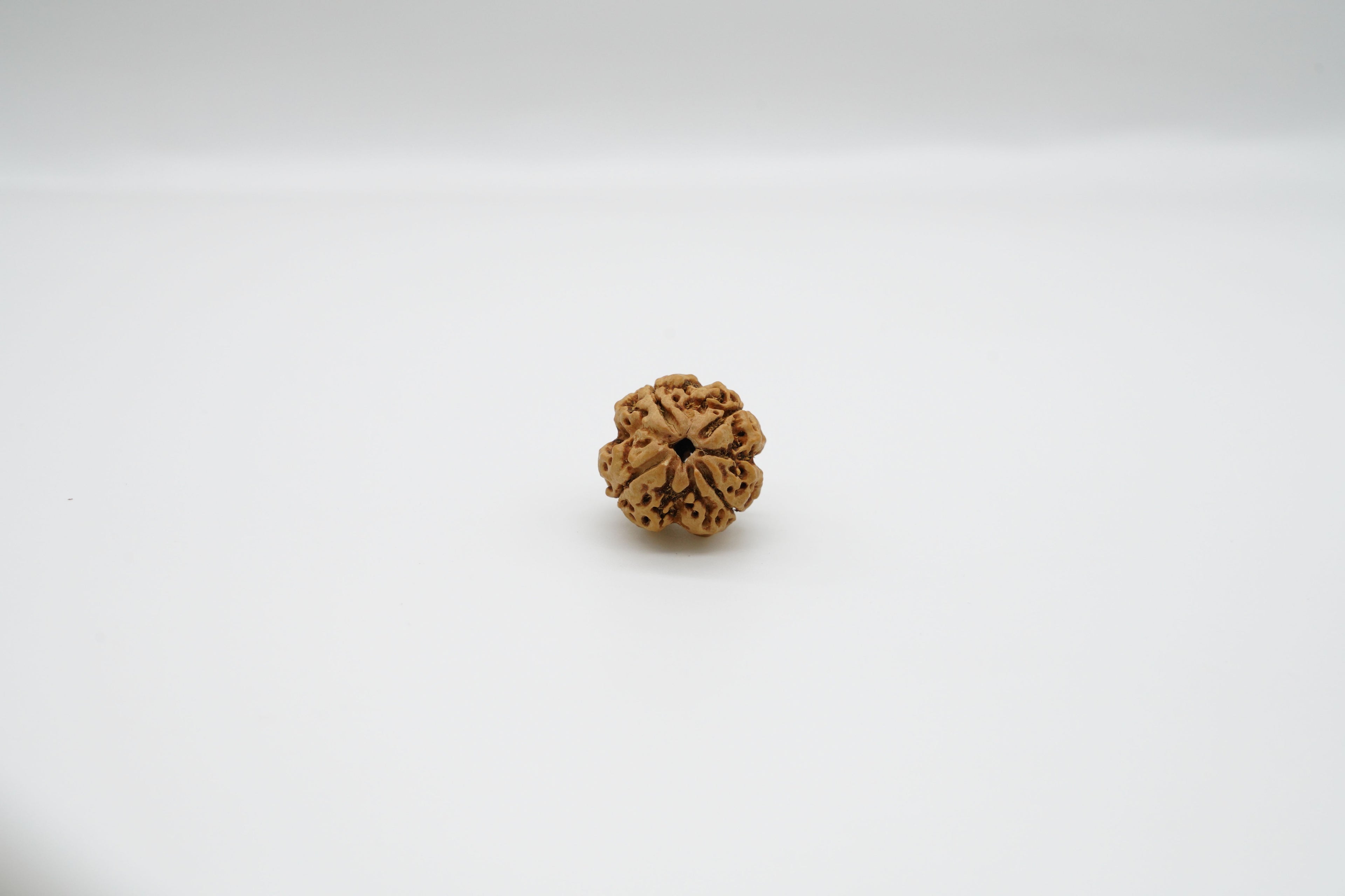 4 Mukhi