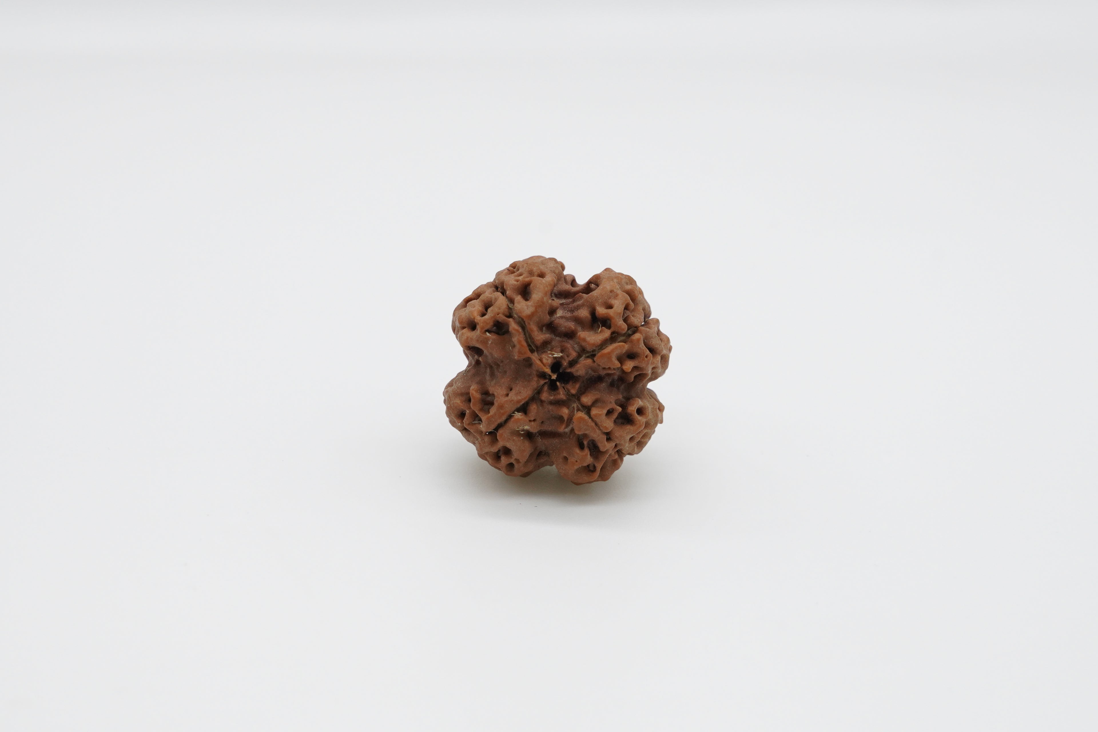 4 Mukhi