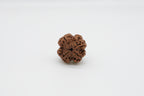 4 Mukhi
