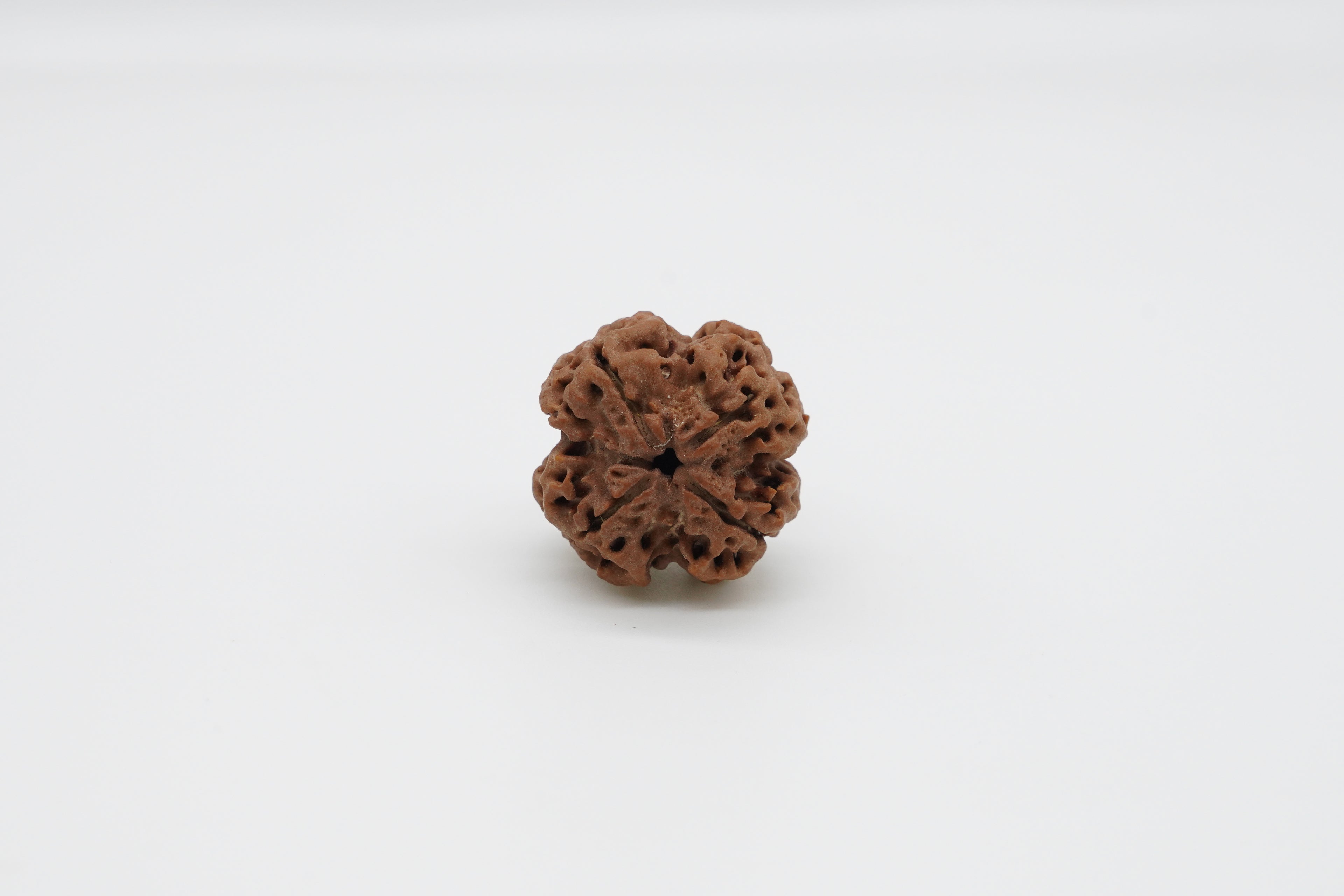 4 Mukhi