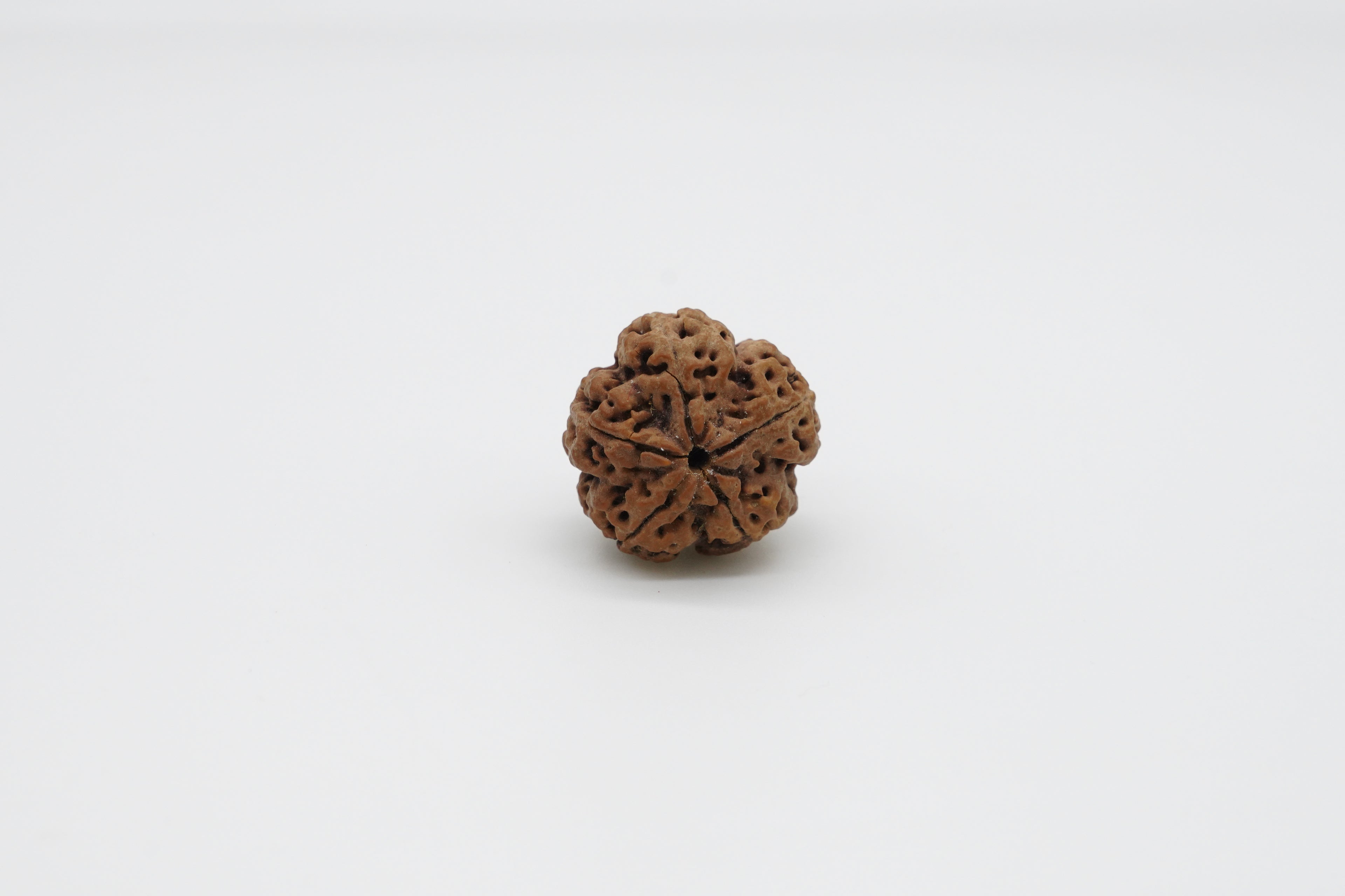 5 Mukhi