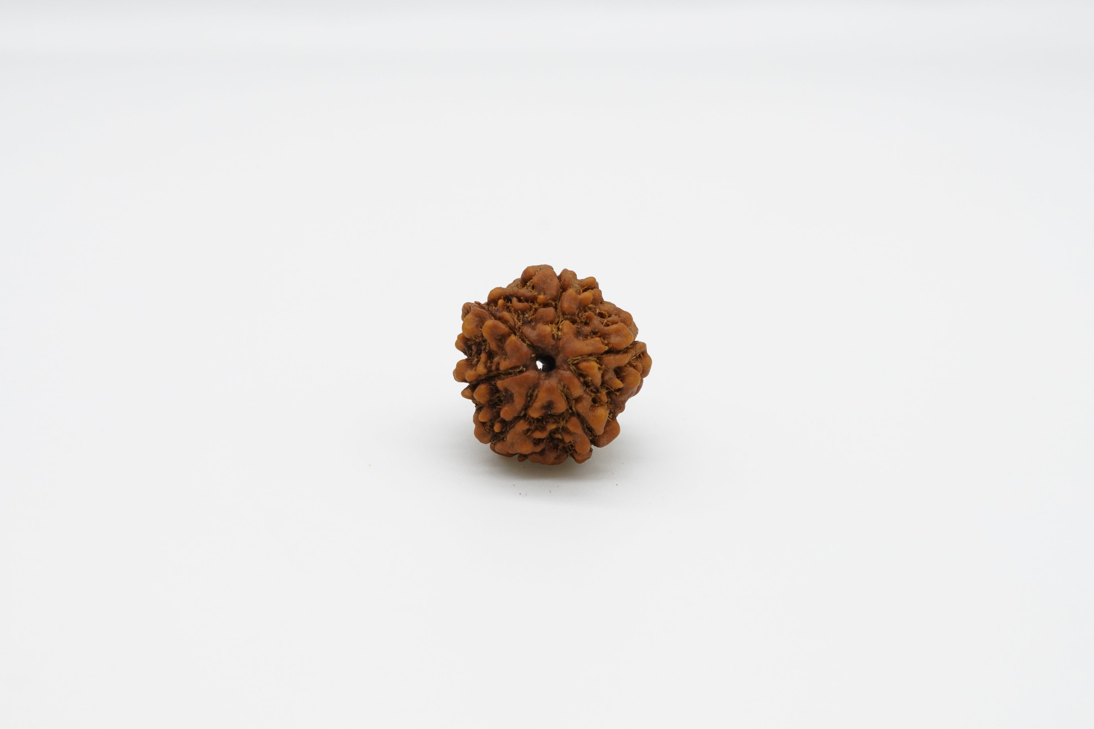 6 Mukhi