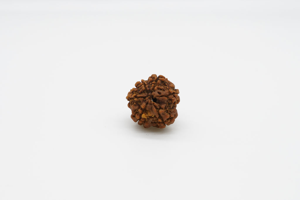 6 Mukhi