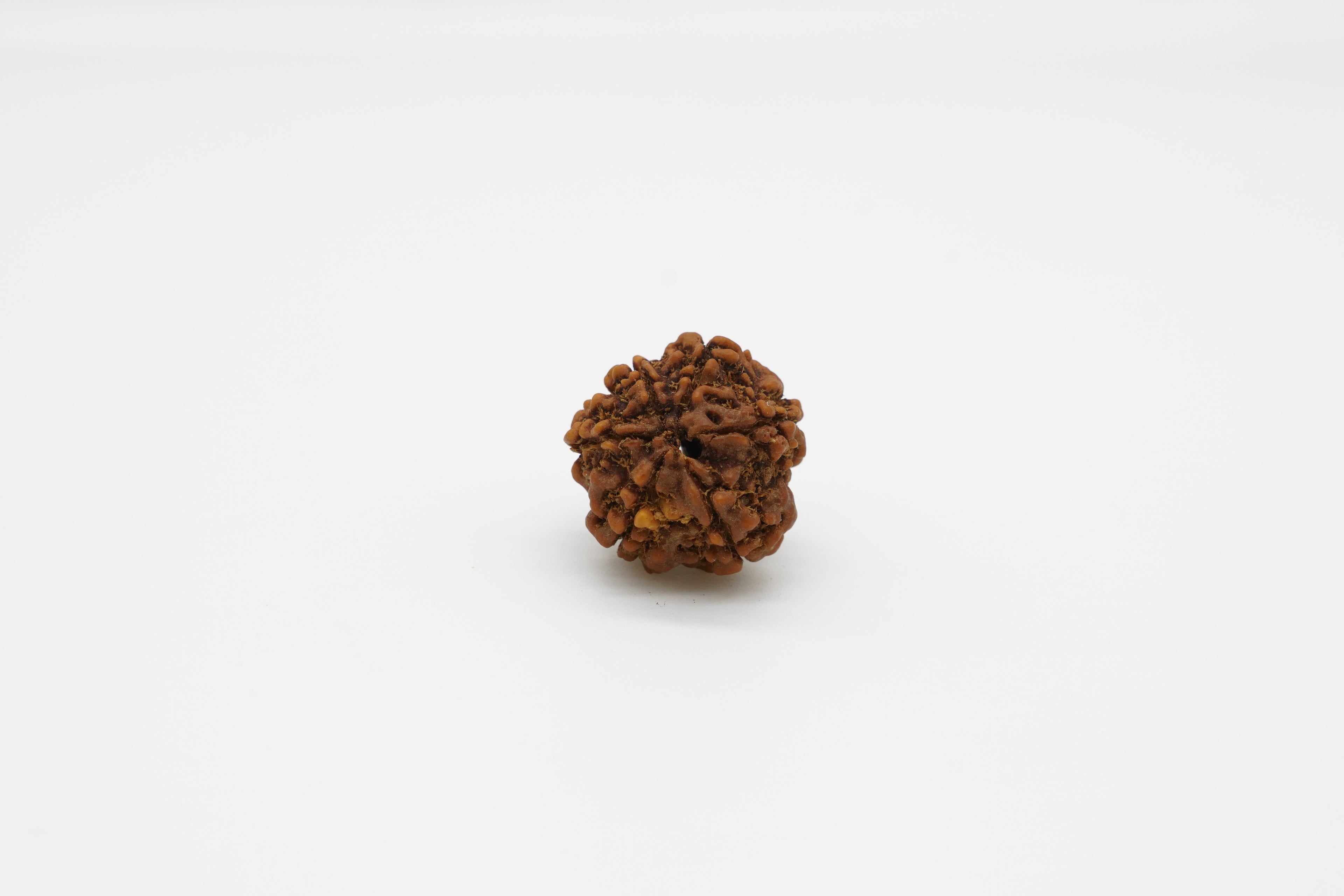 6 Mukhi