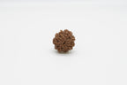9 Mukhi