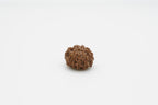 9 Mukhi