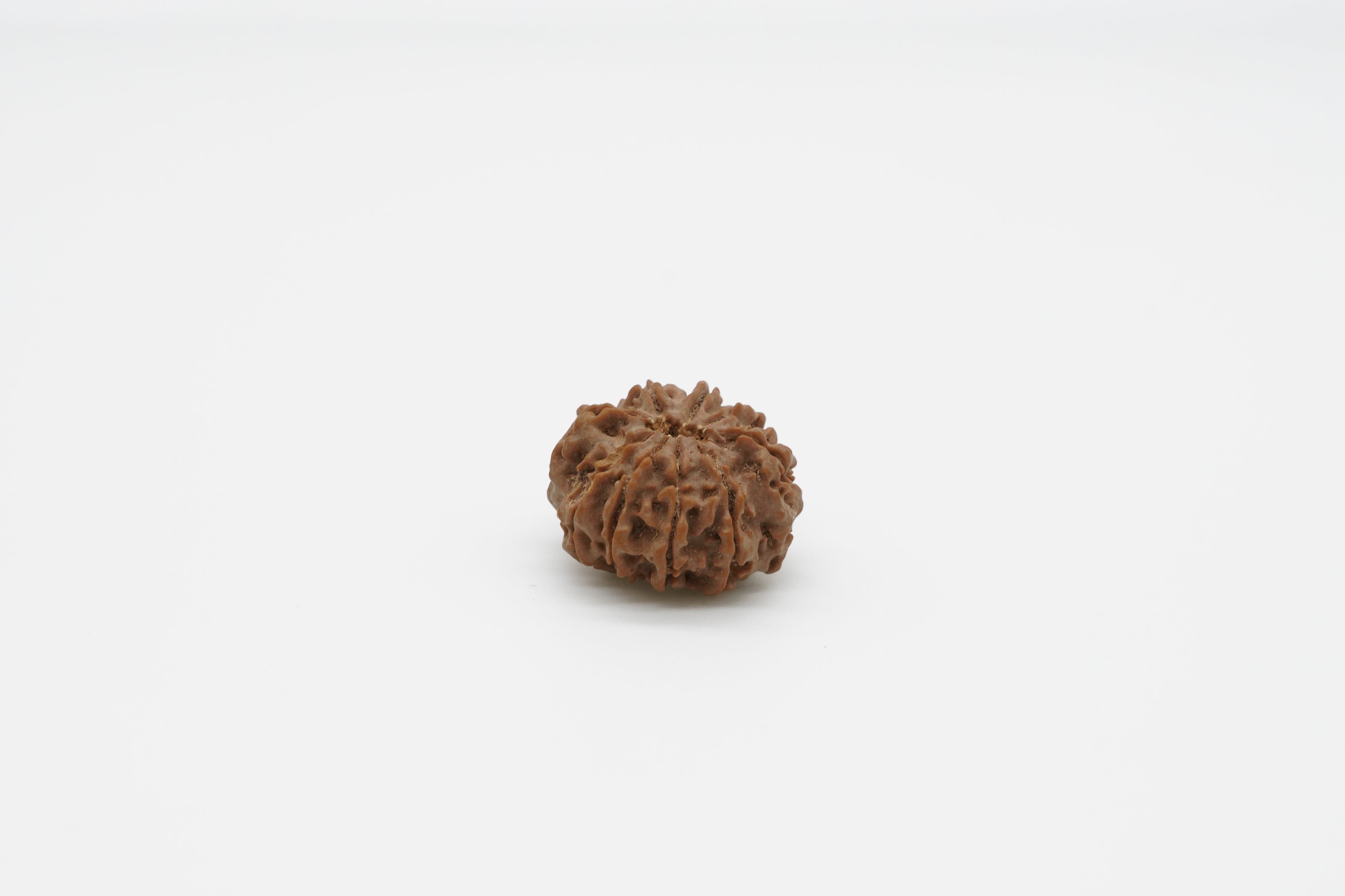 9 Mukhi
