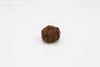 9 Mukhi