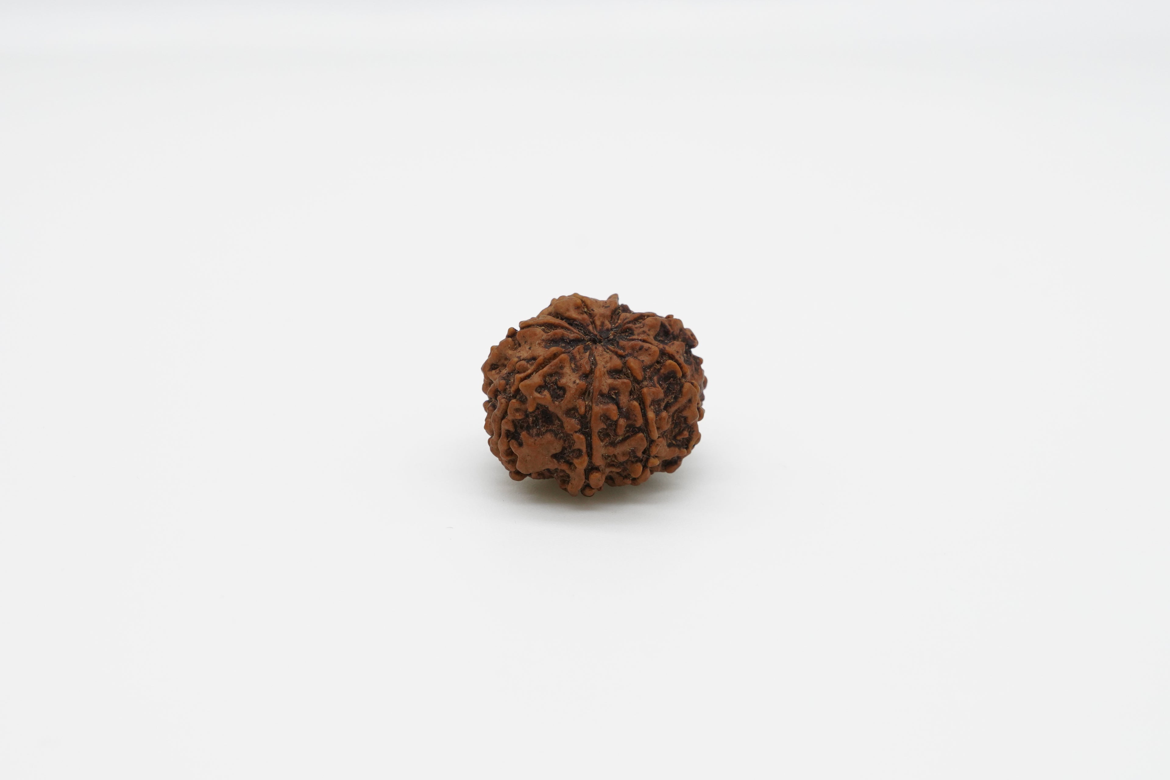 9 Mukhi