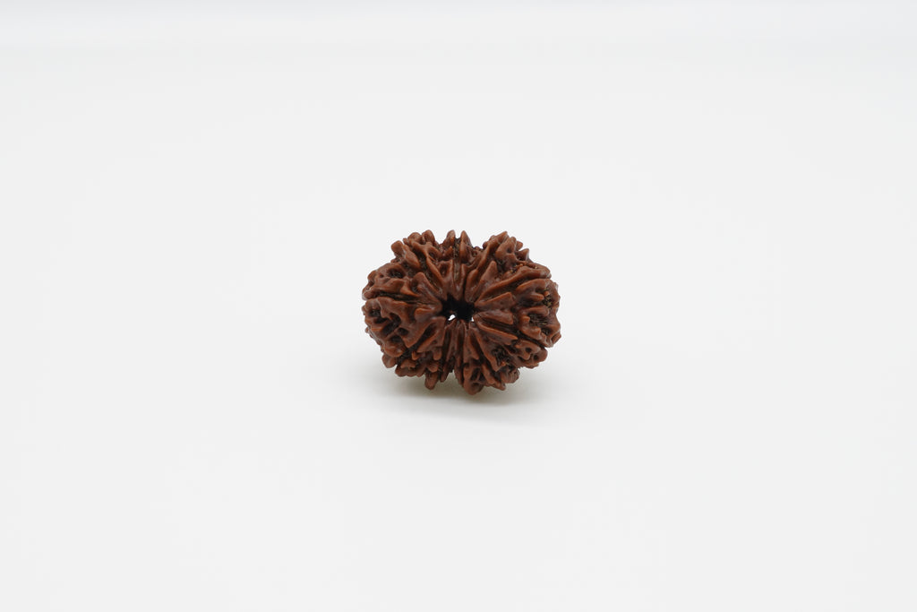 10-Mukhi