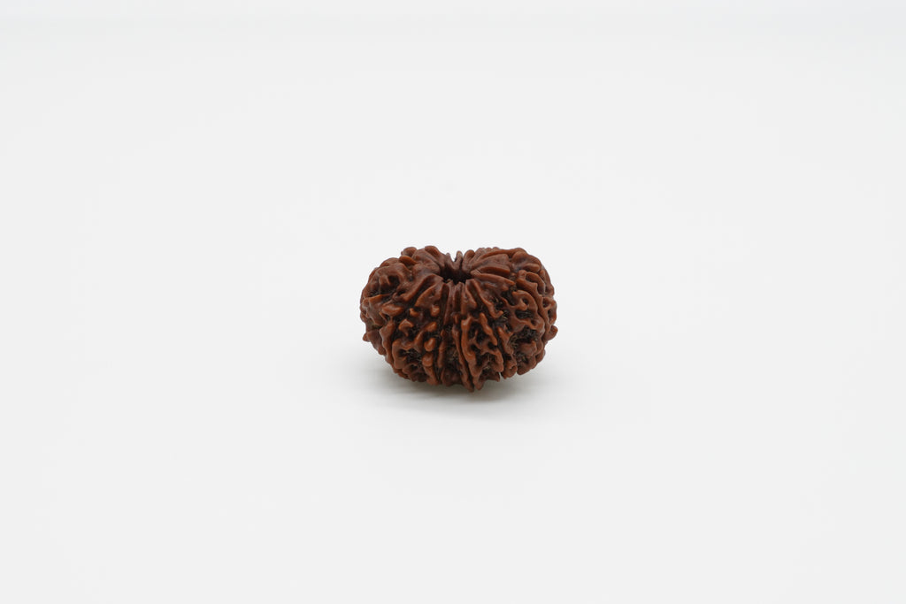 10-Mukhi