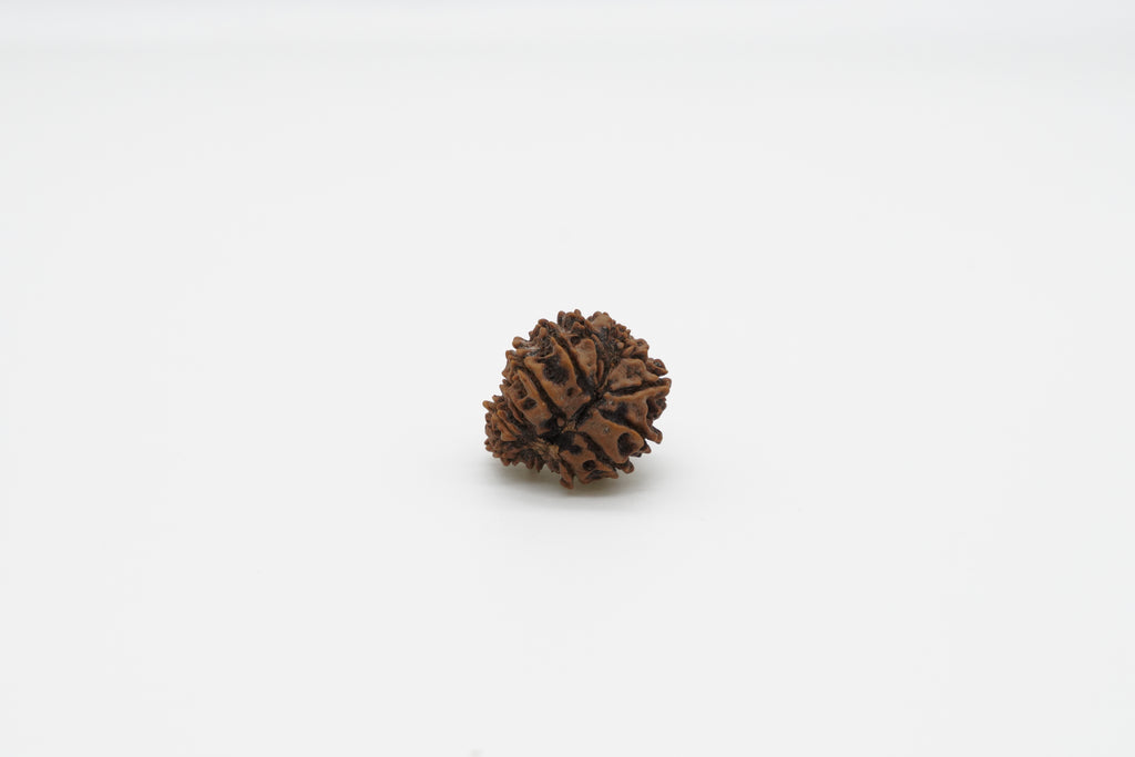 15 Mukhi