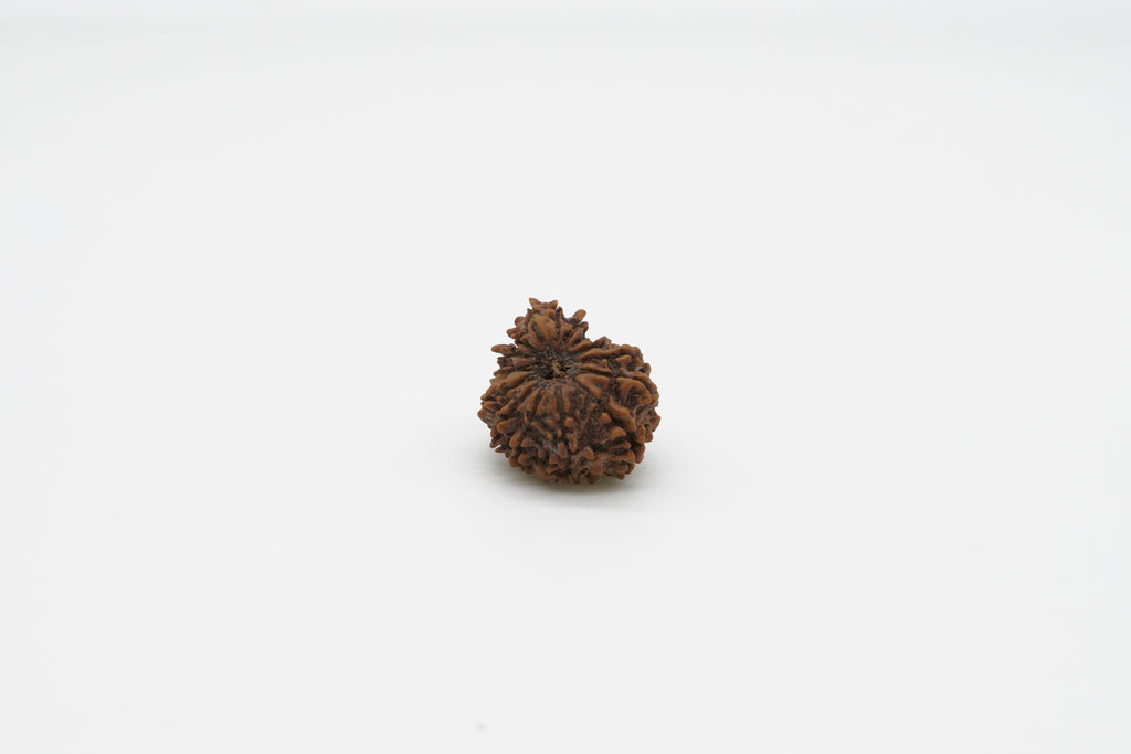 15 Mukhi