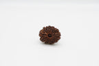 16 Mukhi