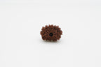 18 Mukhi