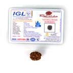 2 Mukhi