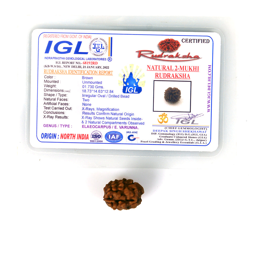 2 Mukhi