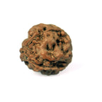 3 Mukhi