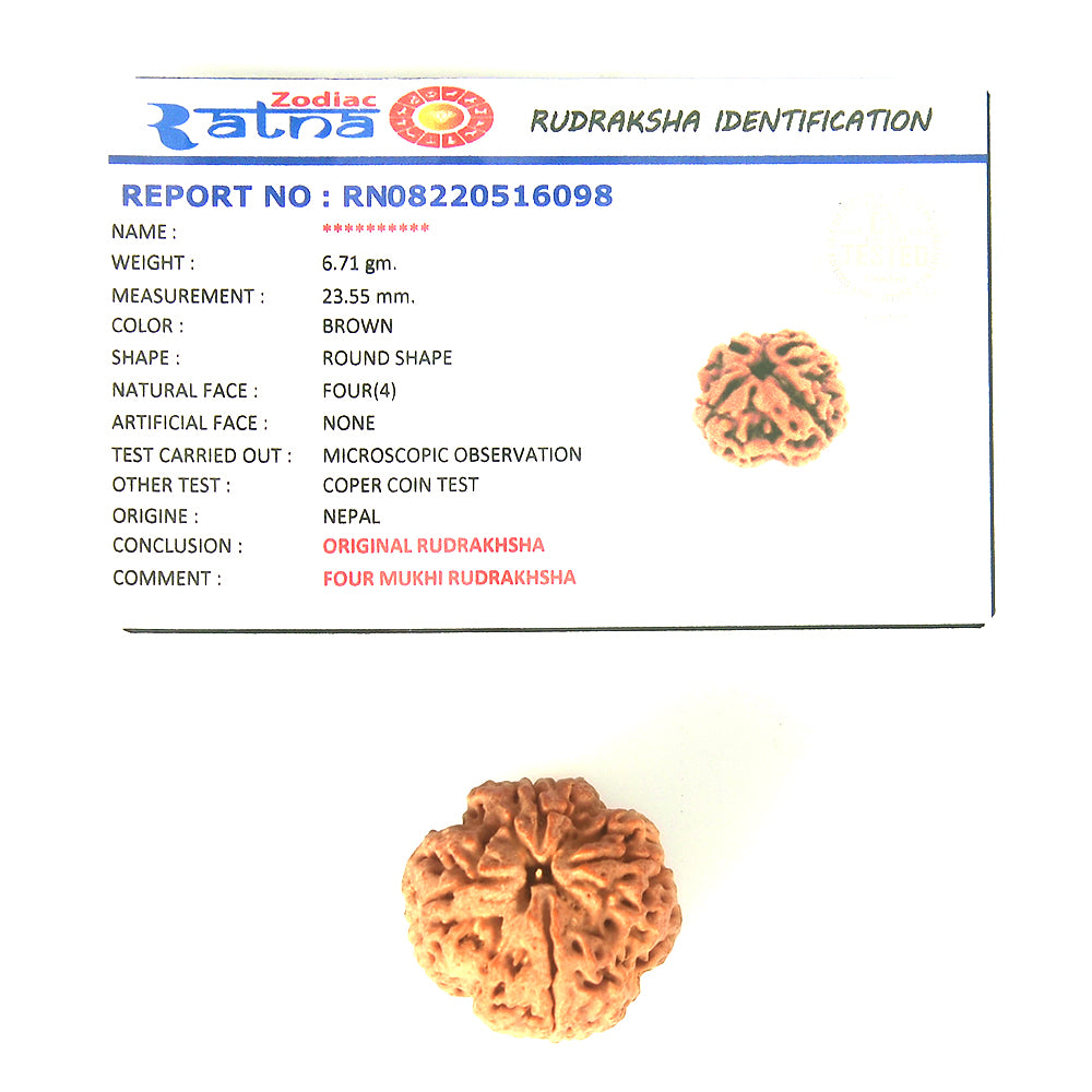 4 Mukhi